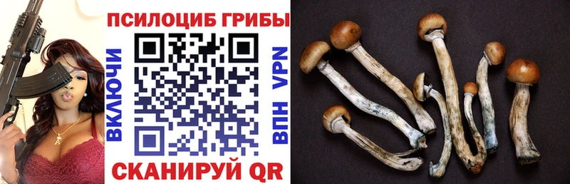 Галлюциногенные грибы ЛСД Урюпинск