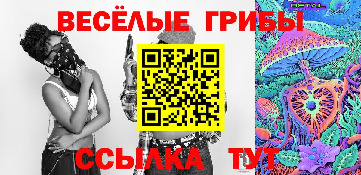 Псилоцибиновые грибы Psilocybe  Вход с VPN  Урюпинск 